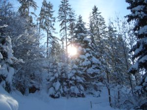 Frohnatur Hotel Garni Thiersee Hinterthiersee Tirol Urlaub Winter Berge