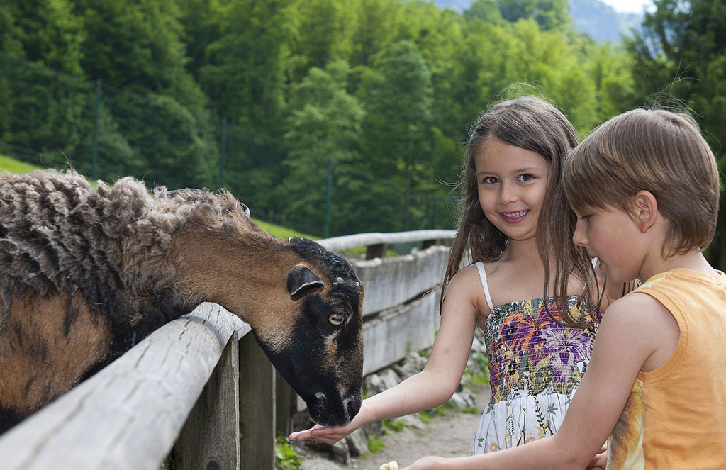 frohnatur_urlaubsplaner_kinder