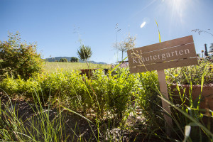Frohnatur Hotel Garni Thiersee Hinterthiersee Tirol Urlaub Grillen Grillplatz Kräutergarten