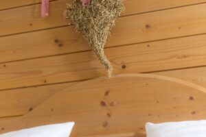 Frohnatur Hotel Garni Thiersee Hinterthiersee Zimmer gemütlich Urlaub Tirol